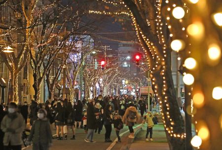 冬到来 光のページェント 新潟日報デジタルプラス 冬到来 光のページェント 新潟日報デジタルプラス