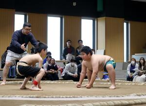 上越地域の小学生が白熱した戦いを繰り広げた「わんぱく相撲上越場所」=25日、上越市戸野目古新田