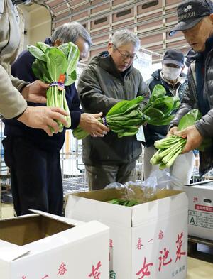 鳥屋野地区特産の「女池菜」の生産者が規格を確認した「目合わせ会」＝新潟市江南区嘉木