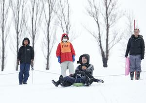 多くの家族連れでにぎわう国営越後丘陵公園のそり専用ゲレンデ=1月13日、長岡市宮本東方町