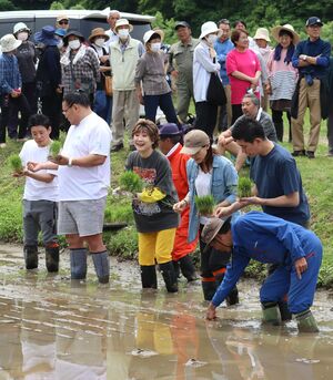 地元住民に見守られ田植えをする小林幸子さんら=5月30日、十日町市甲