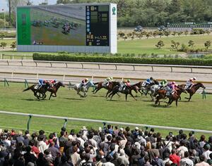 新潟競馬場で開幕したＪＲＡの春の新潟開催＝２日、新潟市北区