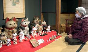 招き猫などの猫グッズが並ぶ「ねこまつり」＝４日、新潟市中央区