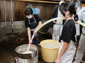 日本酒の仕込み体験で酒米を洗う児童たち=上越市大潟区の竹田酒造店