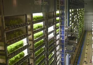 スプレッドが運営する植物工場「テクノファームけいはんな」=2月、京都府木津川市