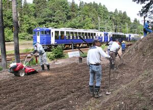 JR信越線の脇の一角でコスモスを植える岩之入集落の住民たち=柏崎市西長鳥
