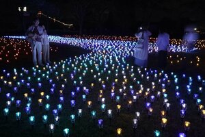 約2万個の鮮やかなライトで染まった山本山高原の山頂=小千谷市