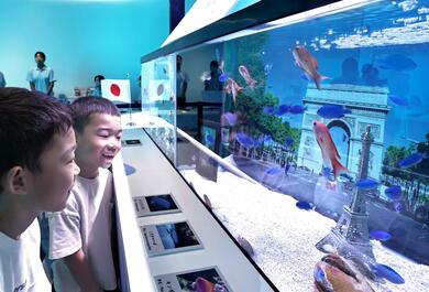 フランスカラーの熱帯魚がス～イスイ♪新潟上越市の水族館「うみがたり