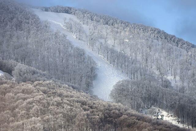 28日に雪崩が発生した斑尾高原スキー場=1日