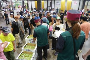 大田市場で行われる青果物の競り=東京都大田区(写真映像部・永井隆司)