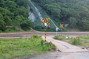 県北豪雨で被災し、運休が続くJR米坂線。線路は草に覆われている=5月29日、関川村土沢