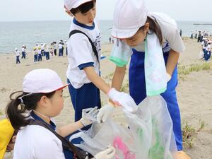 海岸のごみを拾い集める真砂小の児童ら=新潟市西区青山