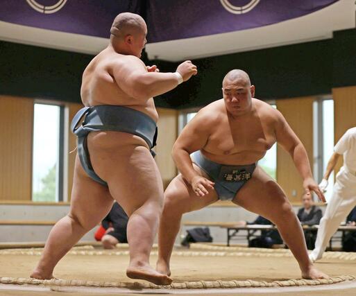 個人無差別級決勝リーグ 全勝で優勝した海洋のナラントヤー・フセルバートル(右)=上越市謙信公武道館
