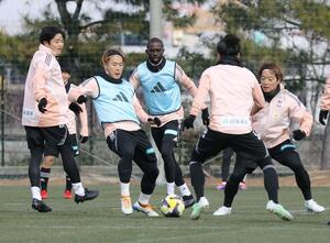 清水戦に向け練習するJ1アルビレックス新潟の選手=2月21日