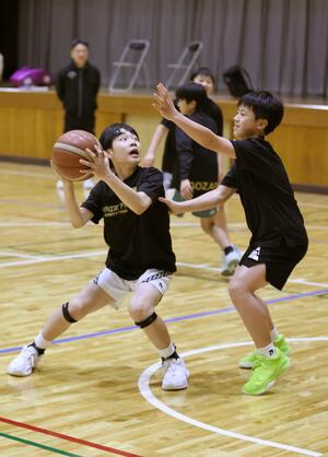 練習に汗を流すホワイトフェニックスの選手たち=魚沼市