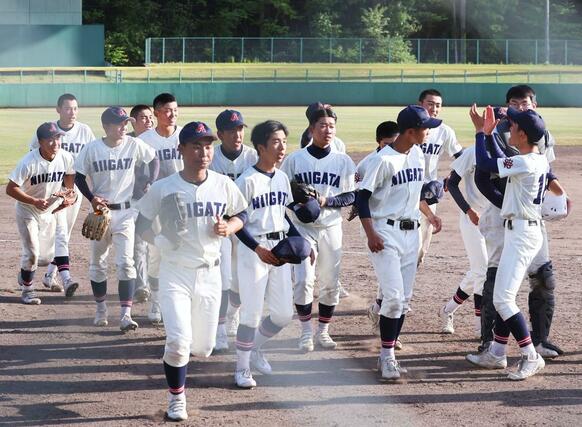 新潟-新潟南 7-3で勝利し喜ぶ新潟ナイン=五十公野公園野球場