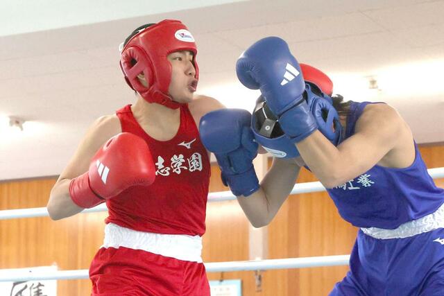 男子ライトウエルター級決勝 優勝した開志学園の板垣黎洸=新潟南高