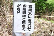 野鳥カメラマンの影響で希少種が営巣放棄…マナー守って！十日町市松之山地域、愛護会や市など連携し対策