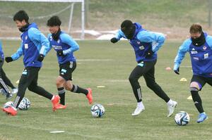 広島戦に向けて調整するDFデン(右から2人目)ら=聖籠町