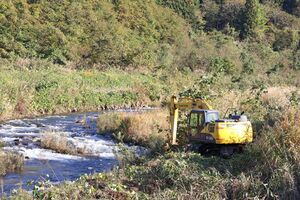 クマ対策として河川敷の草木の茂みをなくす作業=長岡市栃尾泉