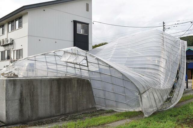 突風で鉄骨のひしゃげたビニールハウス＝１１日、魚沼市中家
