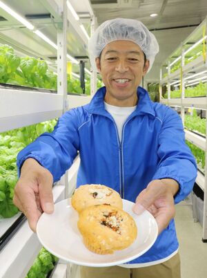 施設で育てたバジルを使った米粉マフィンを紹介する「なごみ」社長の本間俊明さん=燕市水道町4の「なごみの水耕」