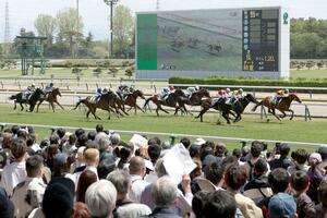 60周年を迎えたJRA新潟競馬場で開幕した春の新潟開催=新潟市北区