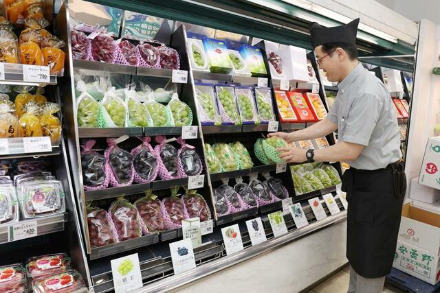 高価格帯のフルーツが並ぶ店内の一角