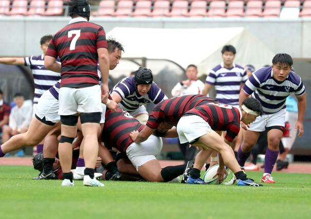 明大－早大　後半、接点でプレーする明大のＬＯ稲村心（中央・新潟工高出）＝ビッグスワン