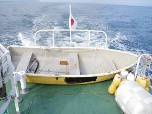 救助された2人が乗っていた手こぎボート(新潟海上保安部提供)