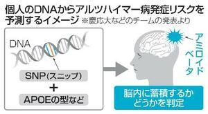 個人のDNAからアルツハイマー病発症リスクを予測するイメージ