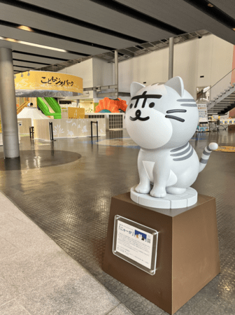 にゃーが 名前は“にゃーが” 福山雅治さんプロデュースの企画「長崎の変